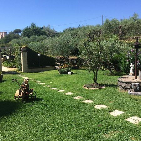 B&B Etna Ranch Piedimonte Etneo Eksteriør billede