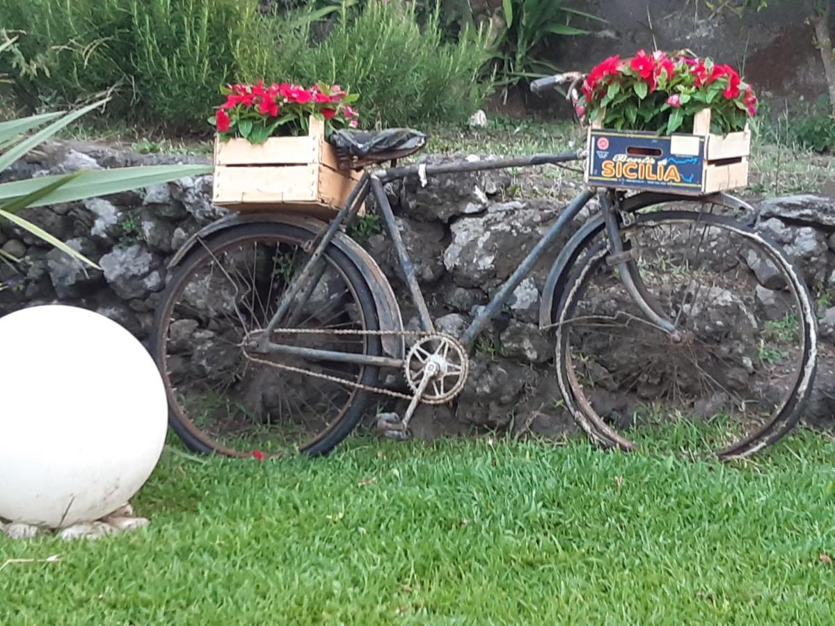 B&B Etna Ranch Piedimonte Etneo Eksteriør billede