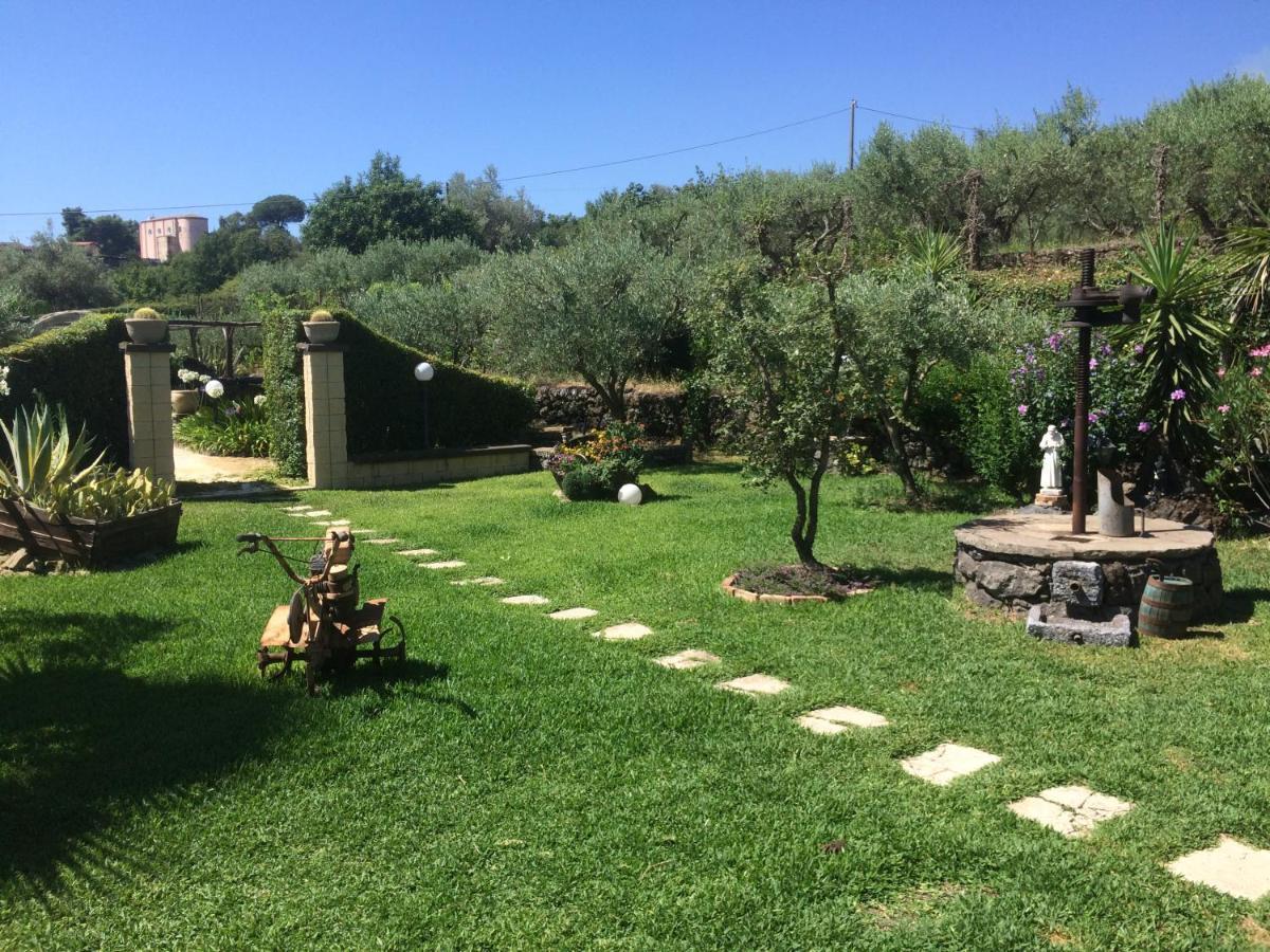 B&B Etna Ranch Piedimonte Etneo Eksteriør billede