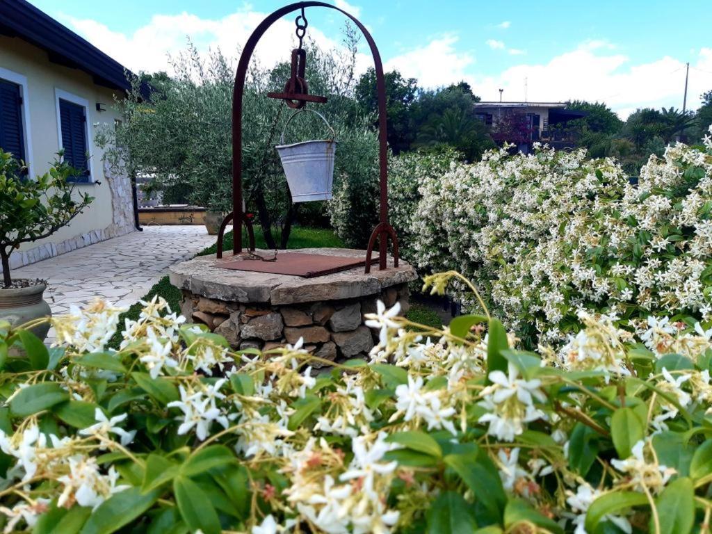 B&B Etna Ranch Piedimonte Etneo Eksteriør billede