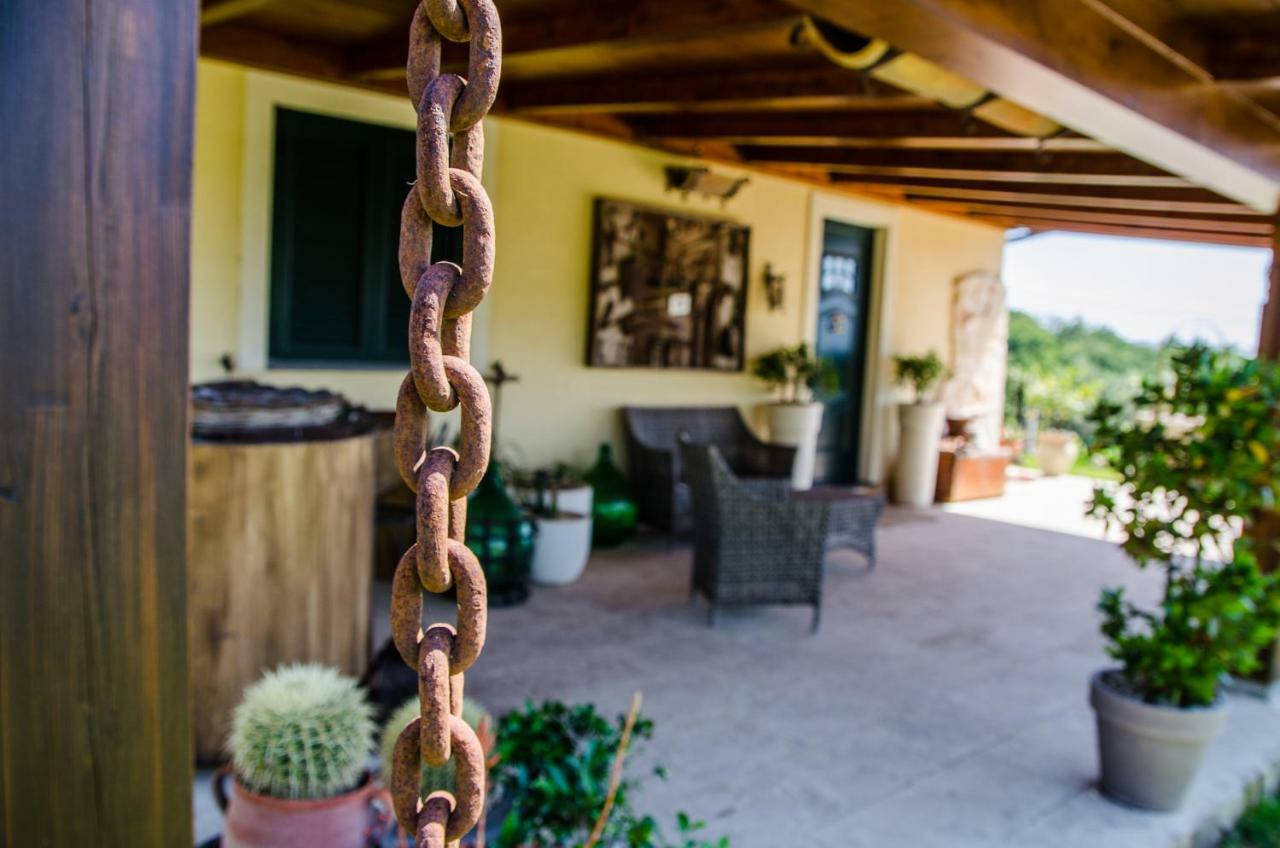B&B Etna Ranch Piedimonte Etneo Eksteriør billede