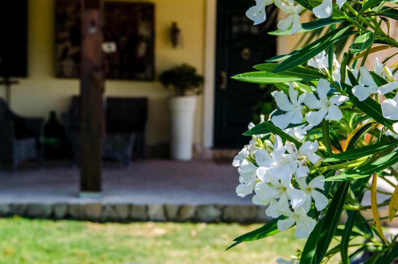 B&B Etna Ranch Piedimonte Etneo Eksteriør billede